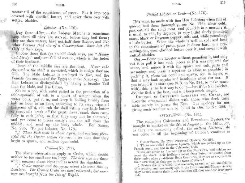 The Cook's Oracle, sheet 115