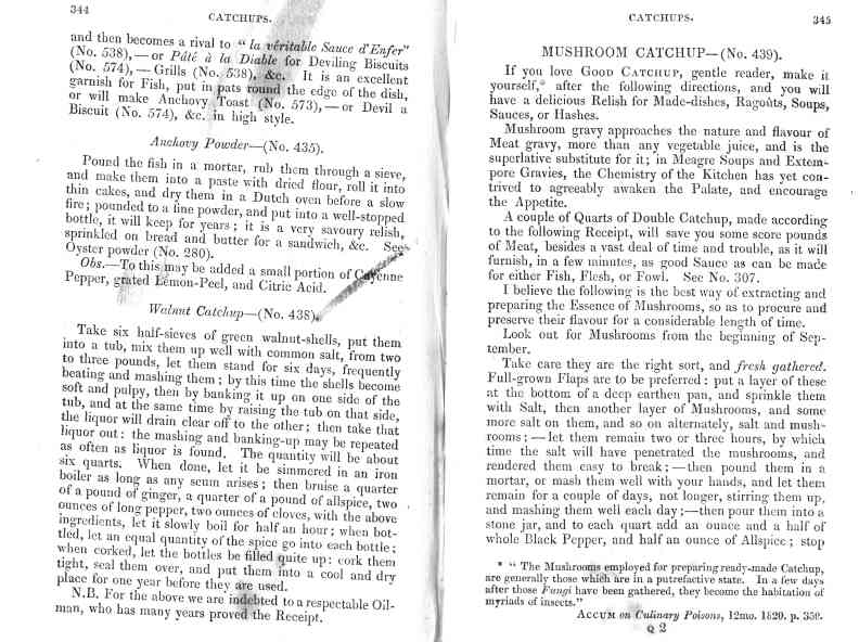 The Cook's Oracle, sheet 173